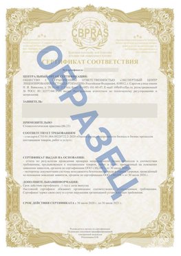 Образец Сертификат СТО 01.064.00220722.2-2020 Николаевск-на-Амуре Сертификат СТО 01.064.00220722.2-2020 